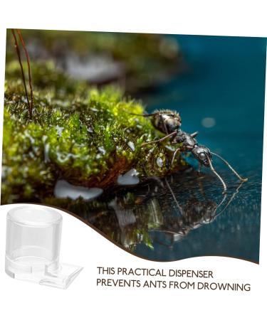 HAPINARY Pet Water Feeder Ant Waterer for Garden Ant Watering Station Ant Nest Supplies Transparent Plastic - Buy Online on SooperMarket.com