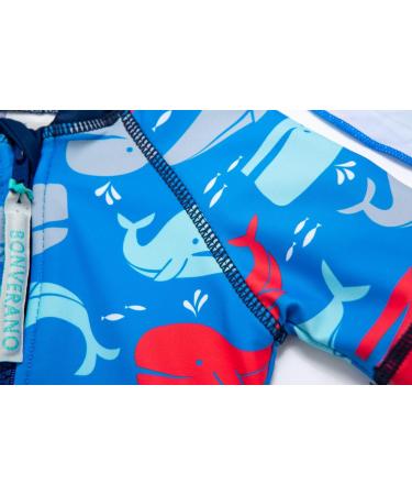BONVERANO Baby Boy All-in-one Sunsuit/Swimsuit | UPF 50+ Sun Protection | 12-18 Months | Blue/Red Whale Design - Buy Online on SooperMarket.com