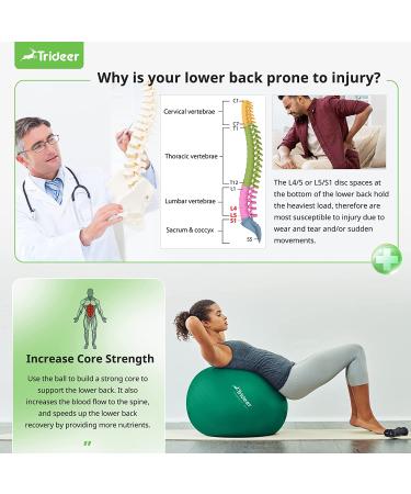 Trideer Exercise Ball for Physical Therapy and Fitness - Green, L (23-26 inches) - Swiss Ball for Rehab, Core Strength, Yoga, Balance, and Flexibility - Buy Online on SooperMarket.com