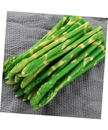 HOMSFOU 20 Pcs Simulated Asparagus Ornaments Pretend Play Food Fake Bamboos Food Faux Veggies Fake Food Model Asparagus Models Simulated Food Artificial Asparagus Model Pvc Vegetable Plant Light Greenx2pcs 19X0.9CMx2pcs - Buy Online on SooperMarket.com