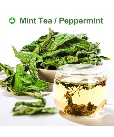 100% Organic Peppermint Tea - Health Benefits & Traditional Flavor - 30g | Global Shipping - Buy Online on SooperMarket.com