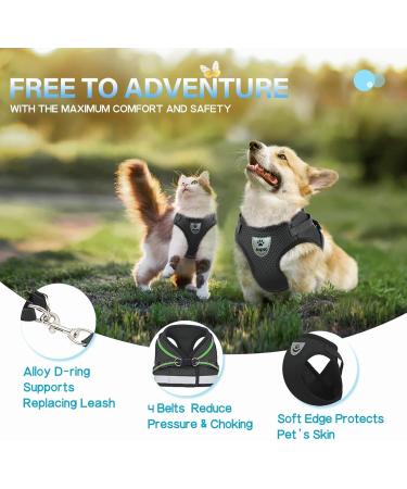 Buy Supet Cat Dishes & Soft Cat Vest with Leash for Kittens & Chihuahua - L Size Black - International Shipping Available - Buy Online on SooperMarket.com