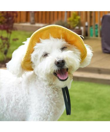 Folpus Outdoor Puppy Sun Hat - Breathable Summer Dog Cap for All Sizes - XS Yellow Pet Egg Hat for Sporty Dogs - Buy Online on SooperMarket.com