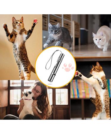 Cat Laser Toy: Red Dot LED Interactive Toy for Indoor & Outdoor Pets - Long Range 5 Modes - USB Rechargeable - Buy Online on SooperMarket.com