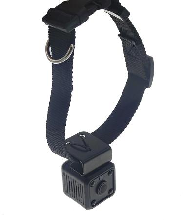 Wireless Rechargeable WiFi Pet Collar Camera Recorder Tracker - 720P HD with Night Vision - Bigger Size - Behavior Observation - Buy Online on SooperMarket.com