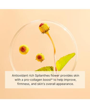 Buy Jurlique Nutri-Define Mask | Anti-Aging Skincare for Radiant Skin | International Shipping Available - Buy Online on SooperMarket.com
