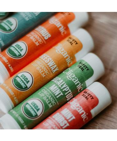Cliganic Organic Lip Balm Set - 6 Pack, 0.15 fl oz Each | Natural Hydration - Buy Online on SooperMarket.com