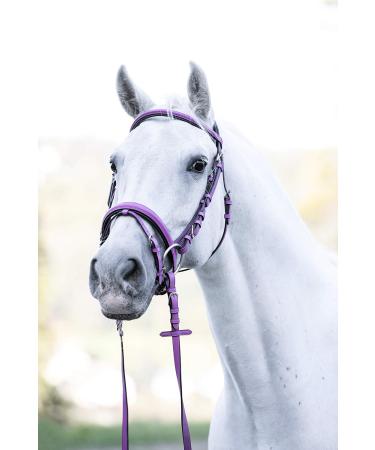 Indira Bridle Pro for Cob & Small Horses - Premium Pink 01 | International Shipping Available - Buy Online on SooperMarket.com