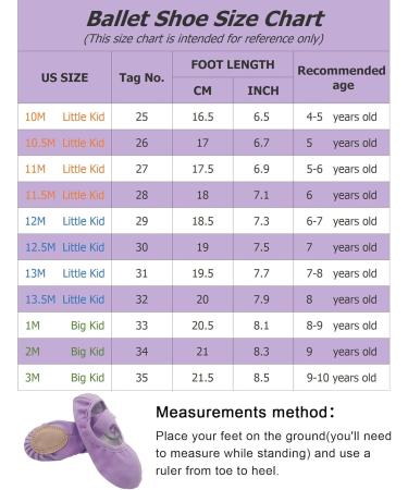 Seaur Girls' Glitter Sequin Satin Ballet Shoes - Leather Sole Dance Shoes for Kids 23-35 EU - Purple D02 Canvas - Buy Online on SooperMarket.com