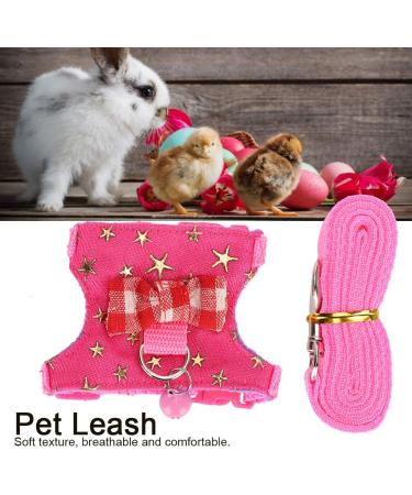 Small Animal Dishes & Leash Set for Squirrels Hamsters Ferrets & Guinea Pigs | Perfect Pet Accessories - Buy Online on SooperMarket.com