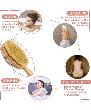 Natural Bristle Bathing Brush with Long Handle - Removable Back Brush & Dual Brush Heads for Effective Shower Scrubbing - Buy Online on SooperMarket.com