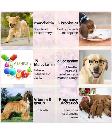Dog Multivitamin Chewable Supplements 15 in 1. Hip Joint Skin Coat Skin Health Gut Health and Heart Health. Digestion & Immune System for All Ages All Breeds Dogs x150 Chews. Duck Flavor. - Buy Online on SooperMarket.com