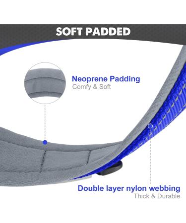 Buy Joytale Royal Blue Dog Collar - Softly Padded Neoprene for Medium Dogs | Nylon Reflective Wide Design - 1 Pack - Buy Online on SooperMarket.com