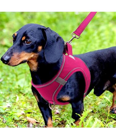 Joyal Dog Harness - Reflective Soft Padded Air-Mesh for Small & Medium Dogs | Bright Pink M (42-47cm) - Shop Now! - Buy Online on SooperMarket.com