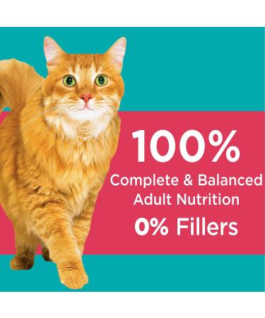 IAMS Proactive Health Dry Cat Food Adult Bundle | Indoor Weight & Hairball Care with Salmon (1.59kg) + Sensitive Digestion & Skin with Turkey (1.36kg) 1.59 kg (Pack of 1) Cat Food + Cat Food 1.36kg - Buy Online on SooperMarket.com