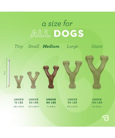 Benebone Wishbone Real Peanuts Medium Durable Dog Chew Toy for Aggressive Chewers | International Shipping Available - Buy Online on SooperMarket.com