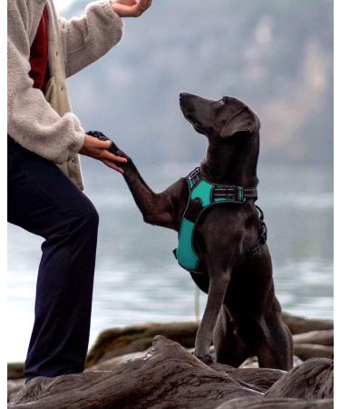 Buy Joytale Reflective Dog Harness for Small Dogs - Soft Padded Adjustable & Breathable - Safe Control Handle - Turquoise - 1 Pack - Buy Online on SooperMarket.com