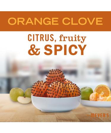 MRS. MEYER'S CLEAN DAY Liquid Dish Soap - Biodegradable Orange Clove Limited Edition 16 oz | Eco-Friendly Dishwashing Solution for International Shipping - Buy Online on SooperMarket.com