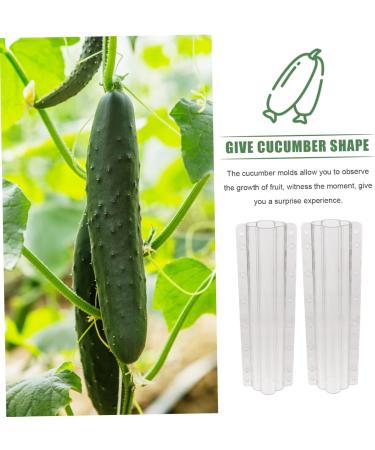 Milisten Garden Fruit Mould 2pcs Vegetable Shaping Mold Cucumbers Cucumber Shaping Mold Vegetable Shaper Mold Planting Supplies - Buy Online on SooperMarket.com