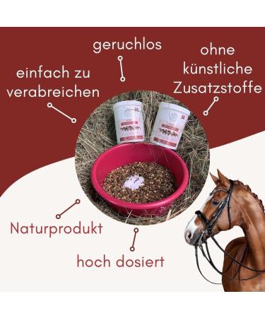 Petgold MSM Horse Powder 1000g | High Dose Sulfur Methylsulfonylmethane for Dogs & Horses - Buy Online on SooperMarket.com