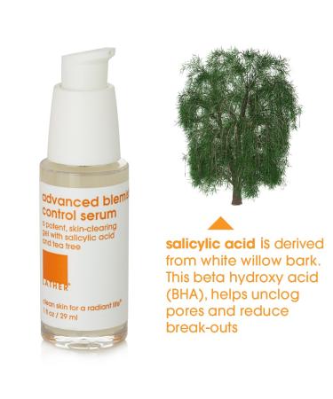 LATHER AHA + BHA Exfoliating Serum - Salicylic Acid & Lactic Acid for Oily Acne-Prone Skin - Oil-Free Facial Treatment - 1 Fl Oz - Buy Online on SooperMarket.com