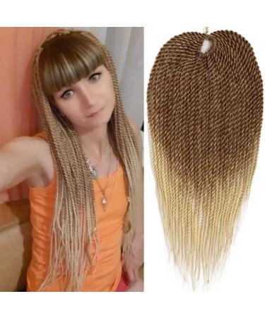 Eunice Senegalese Twist Crochet Braiding Hair Extension 6 Packs Synthetic Crochet Braids 22 inch Soft Hair 30 Roots/Pack (27/613)
