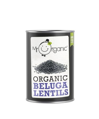 Mr Organic - Organic Beluga Lentils 12 x 400g - Non GMO & Preservative Free - Vegan - for Home Cooking