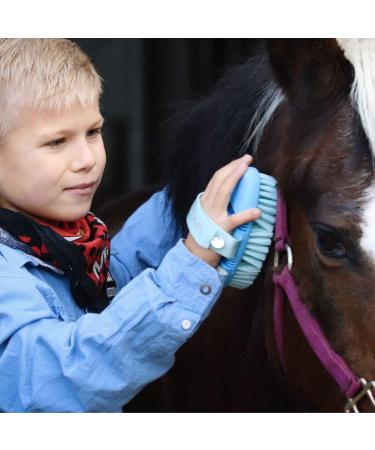 Animalon Children's Horse Cleaning Tools | Ergonomic Blue Card tsche Brush | Perfect Horse Gift for Kids - Buy Online on SooperMarket.com