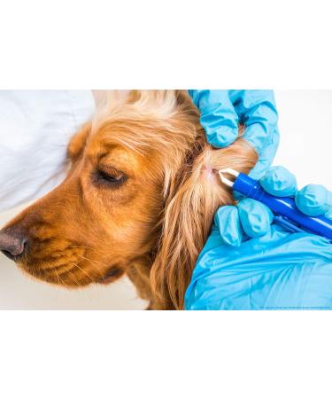valonic tick remover 2 pack red tick removal tool tick remover for dogs and cats - Buy Online on SooperMarket.com