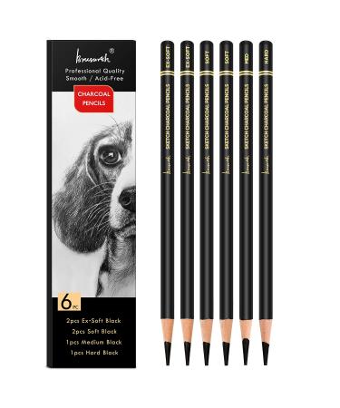 Brusarth Professional Charcoal Pencils Drawing Set 6 Pieces (Ex-Soft, Soft, Medium, & Hard) Charcoal Pencils for Drawing, Sketching, Shading, Artist Pencils for Beginners & Artists Black