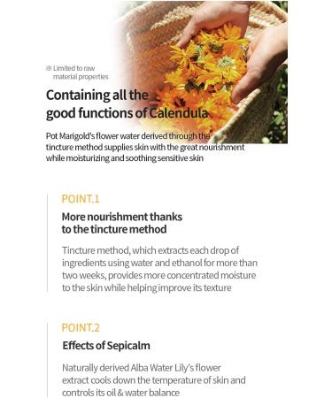 NACIFIC Fresh HERB Origin Toner - Natural Skin Soothing Solution - Buy Online on SooperMarket.com