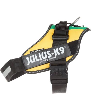 Shop IDC Powerharness XL/2 in Vibrant Lithuanian Colors | International Shipping Available - Buy Online on SooperMarket.com