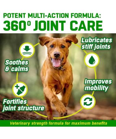CANIVET Dog Joint Care Supplements | 300 Tablets | Green Lipped Mussel, Glucosamine, Chondroitin & More | Supports Joint Health & Mobility | Aids Stiff Joints | 1 Pot (300 tablets) - Buy Online on SooperMarket.com