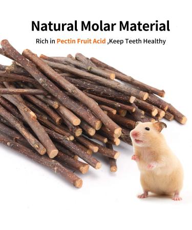 Natural Apple Sticks Treats for Small Animals - Chew Toys for Chinchilla, Guinea Pigs, Hamsters - 10.5 oz Pack - Buy Online on SooperMarket.com