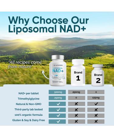 solodate Liposomal NAD+ 500mg Supplement with TMG | Cellular Energy & Anti-Aging | 120 Capsules - Buy Online on SooperMarket.com
