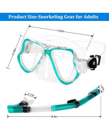 JARDIN Dry Snorkel Set | Panoramic View Anti-Fog Diving Mask | Free Breathing & Adjustable Strap | Professional Snorkeling Gear for Adults | Teal - Buy Online on SooperMarket.com