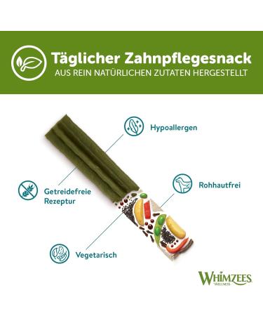 Whimzees by Wellness Stix - Natural Grain-Free Dental Care Snacks for Large Dogs | Monthly Pack of 30 Couch Sticks | Size L - 1 kg (1 Pack) - International Shipping Available - Buy Online on SooperMarket.com