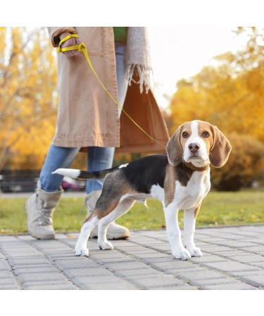 Loutep Reflecting Training Lines for Dogs - Extra Long Leash in 3m 5m 10m 15m 20m 25m 30m - Strong Nylon Rope with Padded Handle for All Sizes - 20m Yellow Reflecting Dog Leash - Buy Online on SooperMarket.com