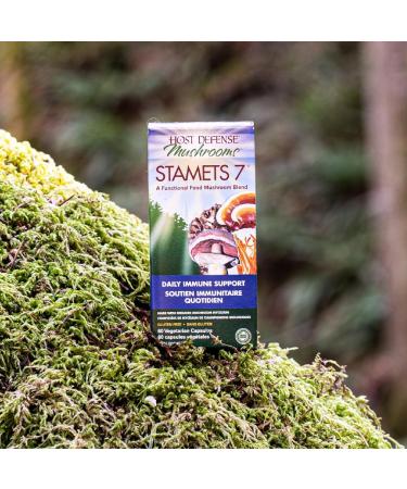 Host Defense Stamets 7 Mushroom Capsules Daily Immune Support & Energy with Organic Mycelium Blend Immune Support Blend with Lion's Mane Chaga Cordyceps Reishi Maitake Mushroom Turkey Tail Mushrooms Supplement Certified Organic Vegetarian Capsules Stamets - Buy Online on SooperMarket.com