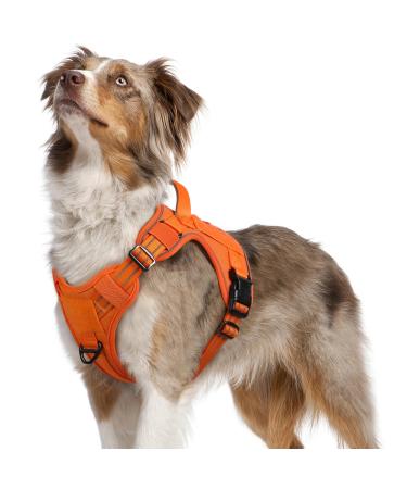 Rabbitgoo dog harness medium -sized dogs anti -train crockery dog adjustable with handles widened robust and wear -resistant tactical dog harness with metal buckles for hiking (m orange) m (1 Pack) Orange