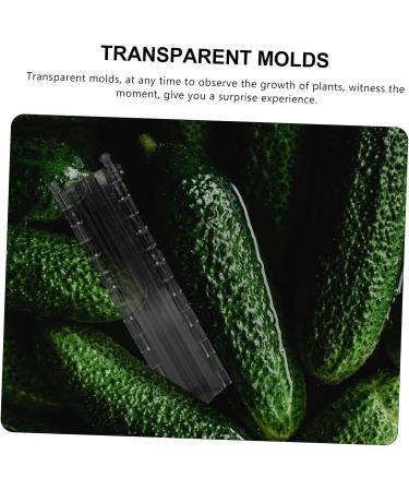 BCOATH 2pcs Melon and Fruit Shaping Mold Vegetables Pumpkin Shaping Mold Vegetable Growing Moulds Shaper - Buy Online on SooperMarket.com