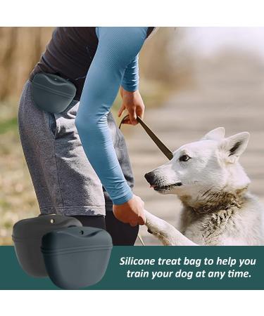 Buy Nyggtyk 2-Piece Silicone Dog Food & Snack Bags - Durable Pet Training Bags (Dark Gray) - Buy Online on SooperMarket.com