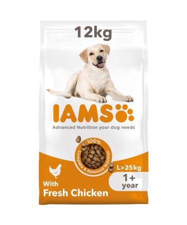 IAMS Complete Dry Dog Food for Adult 1+ Large Breeds with Chicken 12 kg 12 kg (Pack of 1)