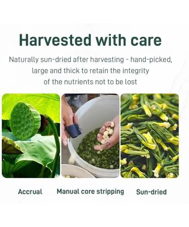 Lotus Seed Core Tea for Men Natural Lotus Seed Heart Tea Dried Lotus Plumule Lotus Embryo Tea Liver and Kidney Care Tea Men's Toning Tea Lian Zi Xin Tea Chinese Kidney Care Tea (3PC-125g) - Buy Online on SooperMarket.com