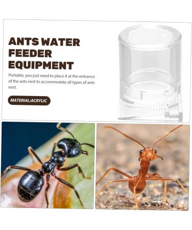 HANABASS Pet Water Feeder Ant Nest Entrance Feeder Ant Waterer for Garden Ant Watering Cup Ant Water Drinking Cup Ant Water Feeder Ant Feeder Station Ants Feeding Device Ant Bowl - Buy Online on SooperMarket.com