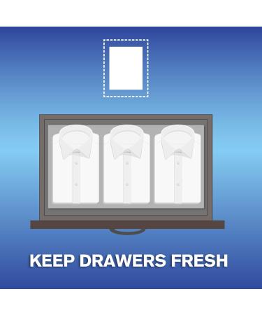 Buy ARM & HAMMER Fabric Softener Sheets - Purifying Waters 40 Sheets | International Shipping Available - Buy Online on SooperMarket.com