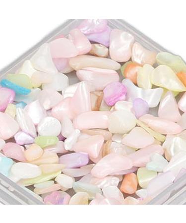Nail Flakes Shell Slices Irregular Nail Jewelry Decorations 2 Boxes for Salon - Buy Online on SooperMarket.com