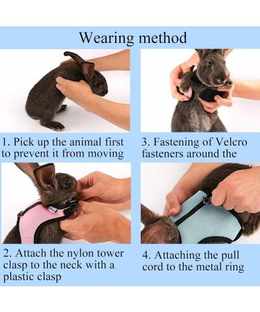 Adjustable Rabbit Dishes & Leash Set for Small Animals 2 Pieces in Blue & Pink | Perfect for Rabbits Hares Hamsters & Cats | Outdoor Use - Buy Online on SooperMarket.com