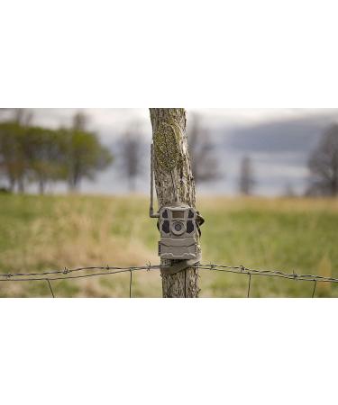 TACTACAM 2 Pack Reveal X Gen 2.0 LTE Trail Camera - AT&T and Verizon, HD Video & Photo, Low Glow IR Flash for Hunting, Security & Surveillance (2 Pack) - Buy Online on SooperMarket.com