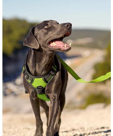 Buy Joytale Large Dog Harness - Reflective Soft Padded Adjustable & Breathable - Anti-Pull Control Handle - Green - International Shipping Available - Buy Online on SooperMarket.com